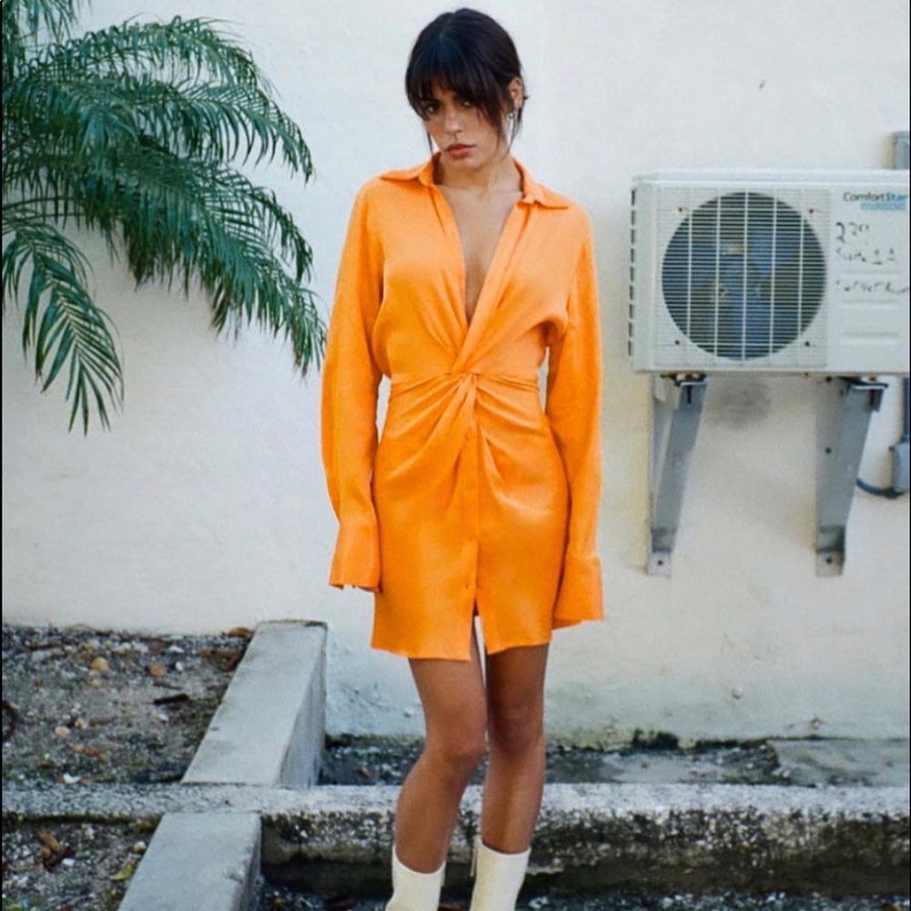 Zara dress